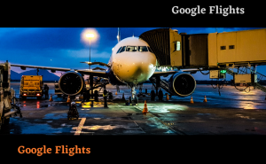 Google Flights 