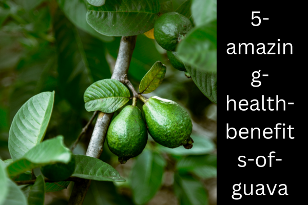 Wellhealthorganic.com:5-amazing-health-benefits-of-guava