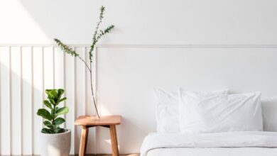 A minimalist white bedroom with plants showcasing bedroom aesthetics